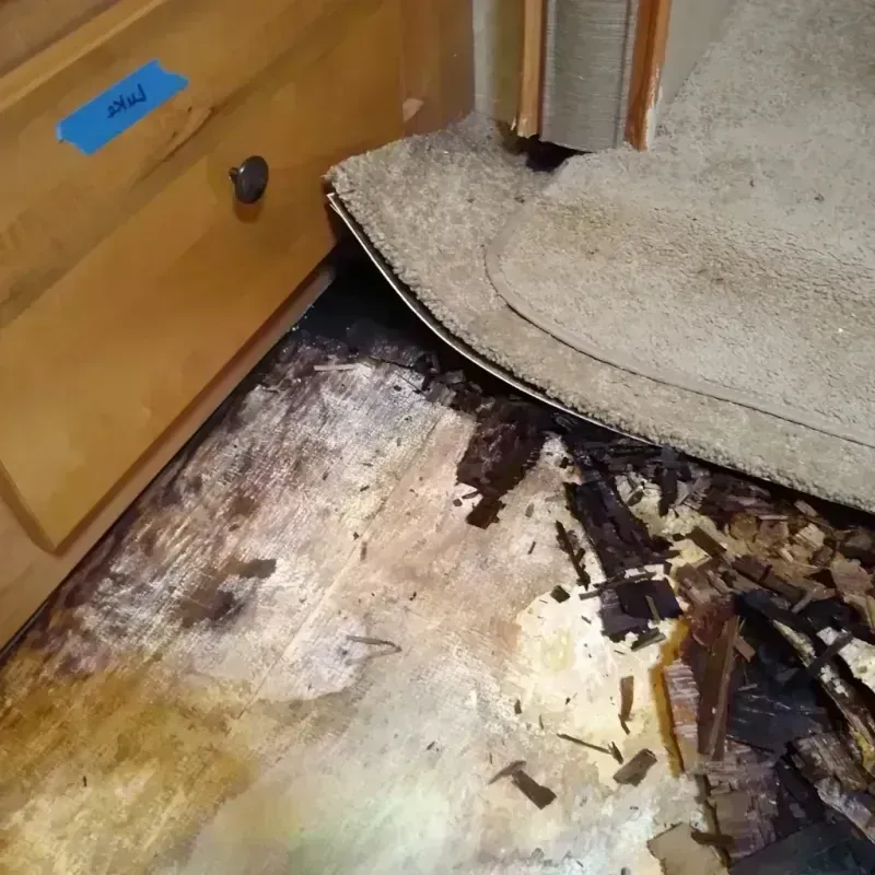 Wood Floor Water Damage in Kearney, MO